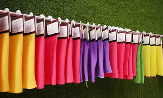 智造 新織城 第十八屆中國(guó) 大朗 國(guó)際毛織產(chǎn)品交易會(huì)圓滿(mǎn)成功