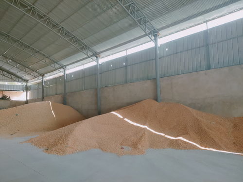 中國銀行甘肅省分行 精準服務涉農企業發展 高效助力 和美鄉村 創建