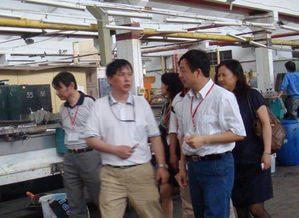 樂(lè)山市中區(qū)新聞網(wǎng)